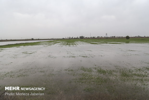 ایمن سازی راه های مواصلاتی روستاها جهت مقابله با سیل و سیلاب در خوزستان
