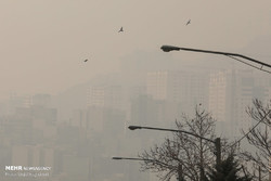 Tehran air pollution incurs annual loss of $2.8b