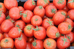 گرانی گوجه فرنگی ربطی به مغازه داران ندارد