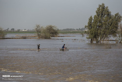 Flash flood hits southwestern Iran, villages evacuated 
