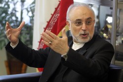 Nuclear chief lauds Russians for ‘delivering what they promised’