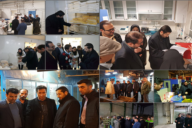 دادستان نهاوند از ۲ واحد تولیدی در این شهرستان بازدید کرد