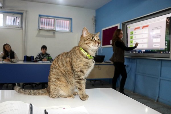 Tarçın 257'nci öğrenci oldu