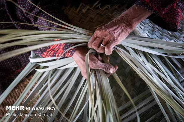 حياكة الحصير في "بندر جاسك" صناعة تقليدية شارفت على الانقراض