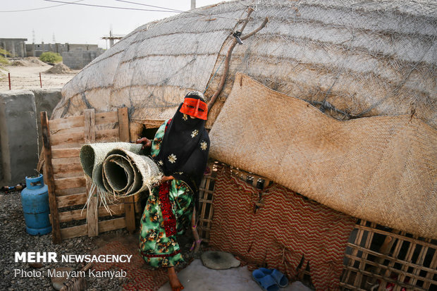 Jask's wickerwork drawing its last breath amid drought