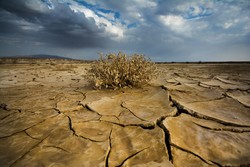 97% of Iran affected by long-term drought: expert