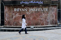 رویان ۲ ماه پس از آتش‌سوزی؛ چرا کسی «سلول به سلول» پژوهشگاه را نساخت؟