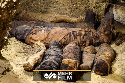 VIDEO: Dozens of mummies discovered in Egypt