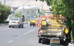 ساماندهی وانت بارهای میوه فروش در اردبیل انجام شد/  استقرار در ۴۶ مکان مختلف