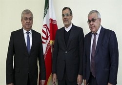 Russian diplomats discuss Syria, Yemen with Jaberi Ansari