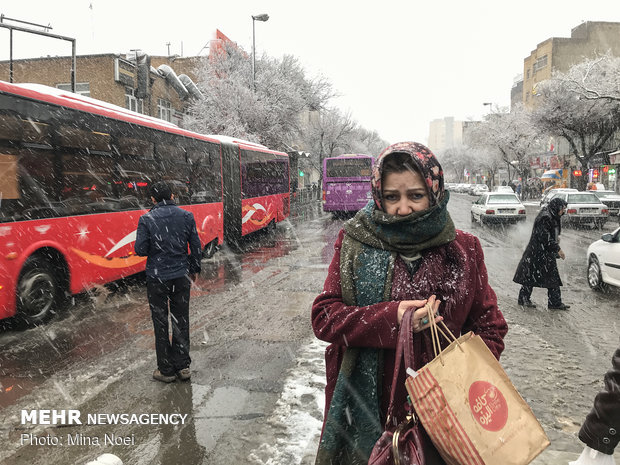Snowy Tabriz