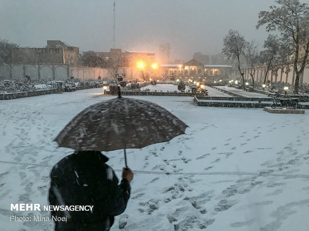 Snowy Tabriz