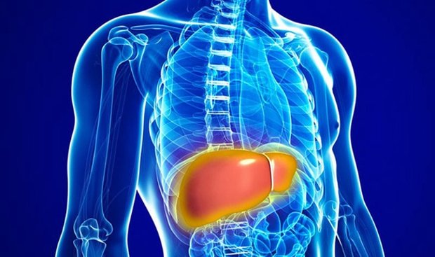 Tehran to host nursing courses for digestive, liver diseases care