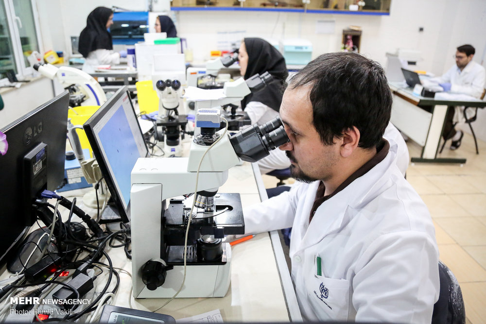 بیش از ۱۳۰۰ نفر در دکتری تخصصی علوم پزشکی پذیرفته می شوند/ پذیرش پژوهش محور در ۳۴ مرکز تحقیقاتی
