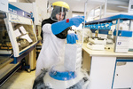 Royan ranks world's top 10 inst. in male infertility research