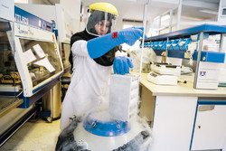 Royan pioneering infertility treatment in Iran