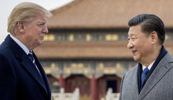 China's Xi likely to decline Trump's inauguration invitation