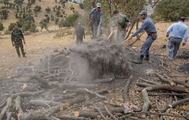 ۹۵ درصد کوره‌های زغال در کرمانشاه تخریب شده است