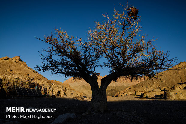 طرح توسعه ساخت مسکن روستایی توسط کمیته امداد امام خمینی (ره) روستای جلاران شهرستان درمیان استان خراسان جنوبی