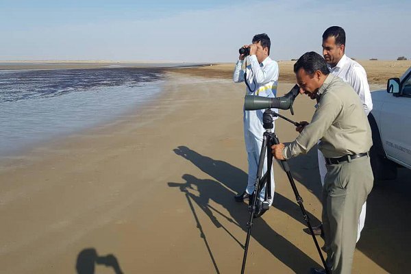  پایش آنفلوانزای فوق حاد پرندگان در کنارک انجام شد