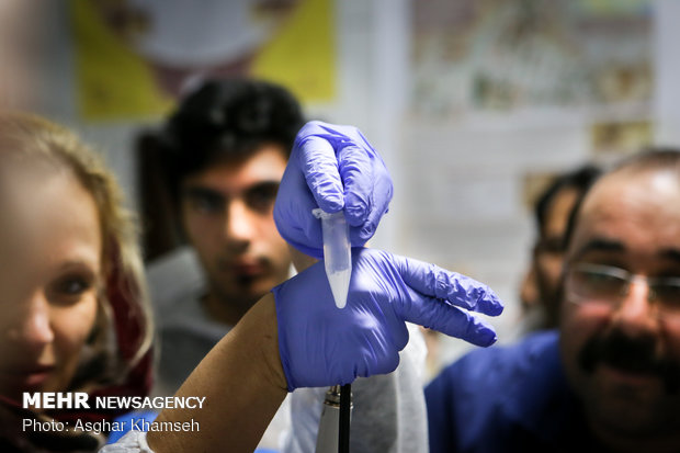 Artificial insemination performed on Persian leopard