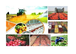 سهم ۳.۲ درصدی گیلان در ارزش افزوده کشاورزی کشور