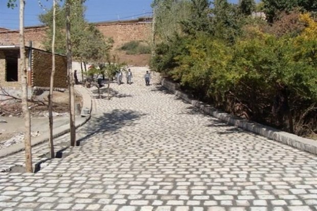 همه روستاهای بالای ۲۰ خانوار استان بوشهر دارای طرح هادی هستند