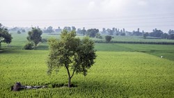India-China