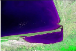 مطالعات حفر کانال جدید برای احیای خلیج گرگان در دست انجام است