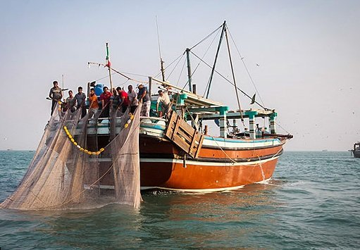 شخم‌زدن کف خلیج فارس با «ترال»/ ذخایر دریایی تهدید می‌شوند