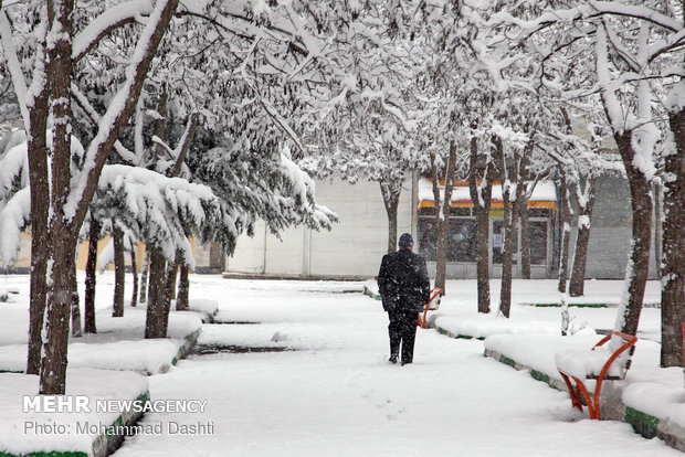 تساقط الثلوج في مدينة أردبيل الايرانية 