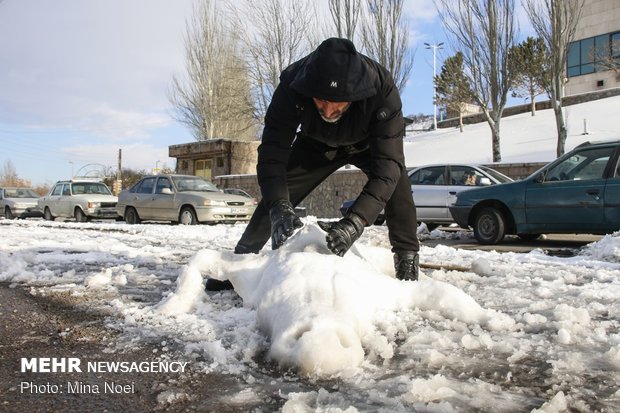 Snow sculpting competition held in Tabriz