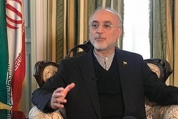 Salehi calls for interreligious unity
