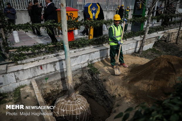 آیین کاشت 40 اصله درخت به مناسبت چهلمین سالگرد انقلاب اسلامی در حاشیه خیابان ولی عصر (عج)