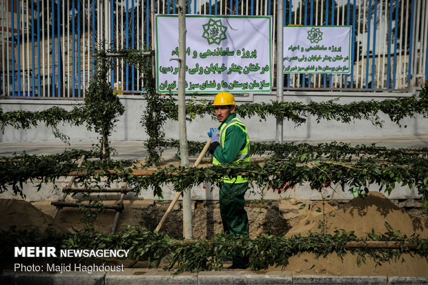 انتقاد مسجد جامعی نسبت به بی توجهی به خیابان تاریخی ولیعصر