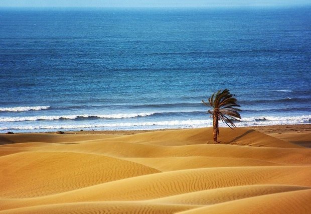 Darak, where the desert meets the sea