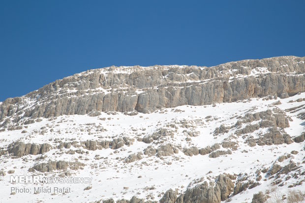 Ardakan under snow