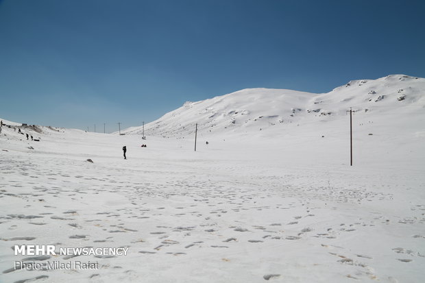 Ardakan under snow