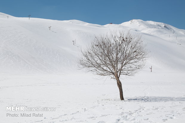 Ardakan under snow