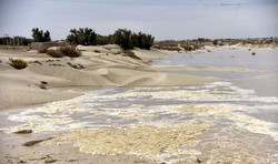 Water drenches 18,000 ha of Hamoun-e Sabori wetland