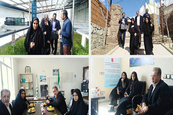 اجرای ۴۰ برنامه جامع در روستاهای استان تهران طی سال ۹۸