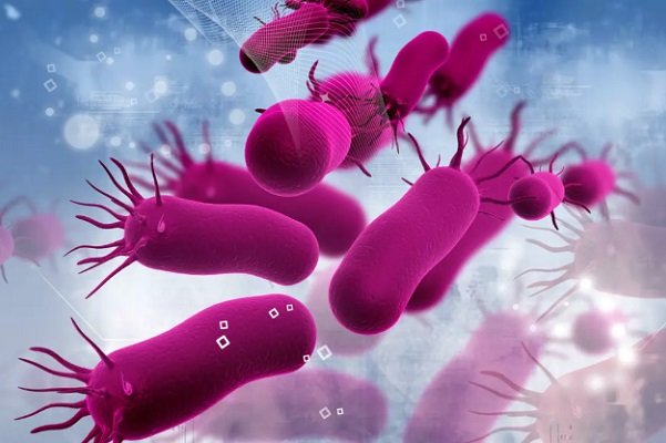 حیرت دانشمندان از رفتار موذیانه باکتری ها برای زنده ماندن