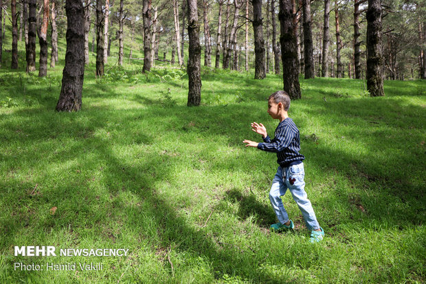 ماجراجویی آصف پسرک نابینا در جنگل 