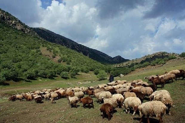 <strong>تکرار</strong> <strong>معضل</strong> <strong>کوچ</strong> <strong>زودهنگام</strong>/ مدیریت <strong>کوچ</strong> نیازمند همکاری مسئولان ۳استان <strong>تکرار</strong> <strong>معضل</strong> <strong>کوچ</strong> <strong>زودهنگام</strong>/ مدیریت <strong>کوچ</strong> نیازمند همکاری مسئولان ۳استان