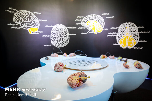 افتتاح پردیس مغز با حضور معاون اول رییس جمهور