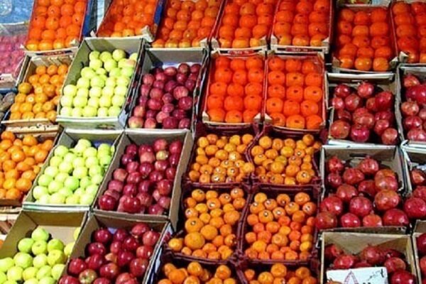 میوه شب عید استان زنجان در ۸۰ غرفه عرضه می شود 