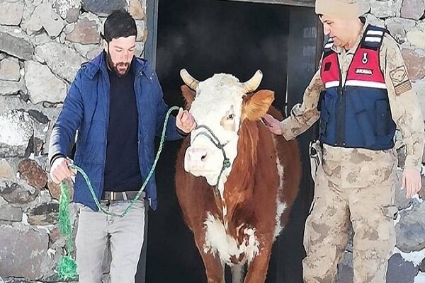 Kardaki toynak izleri hırsızlık zanlısını yakalattı
