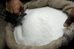دلایل عقب گرد در خودکفایی شکر/ احتمال قطع صادرات شکر از سوی برزیل و هند