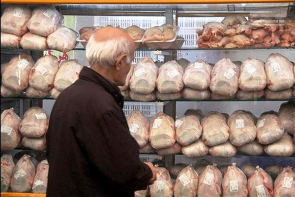 ۵۵۰ تن مرغ منجمد تنظیم بازار در سیستان و بلوچستان توزیع می‌شود