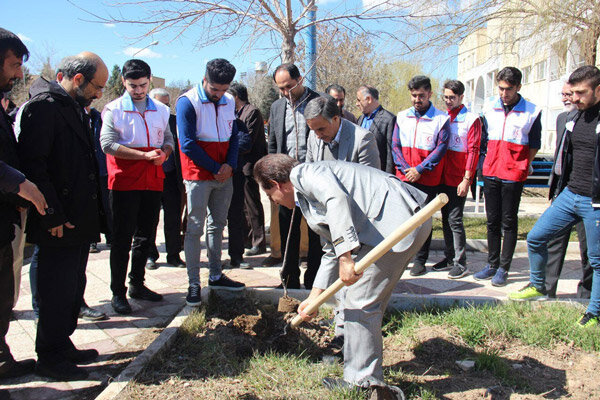 مراسم «بنشانیم درخت» در قزوین برگزار شد